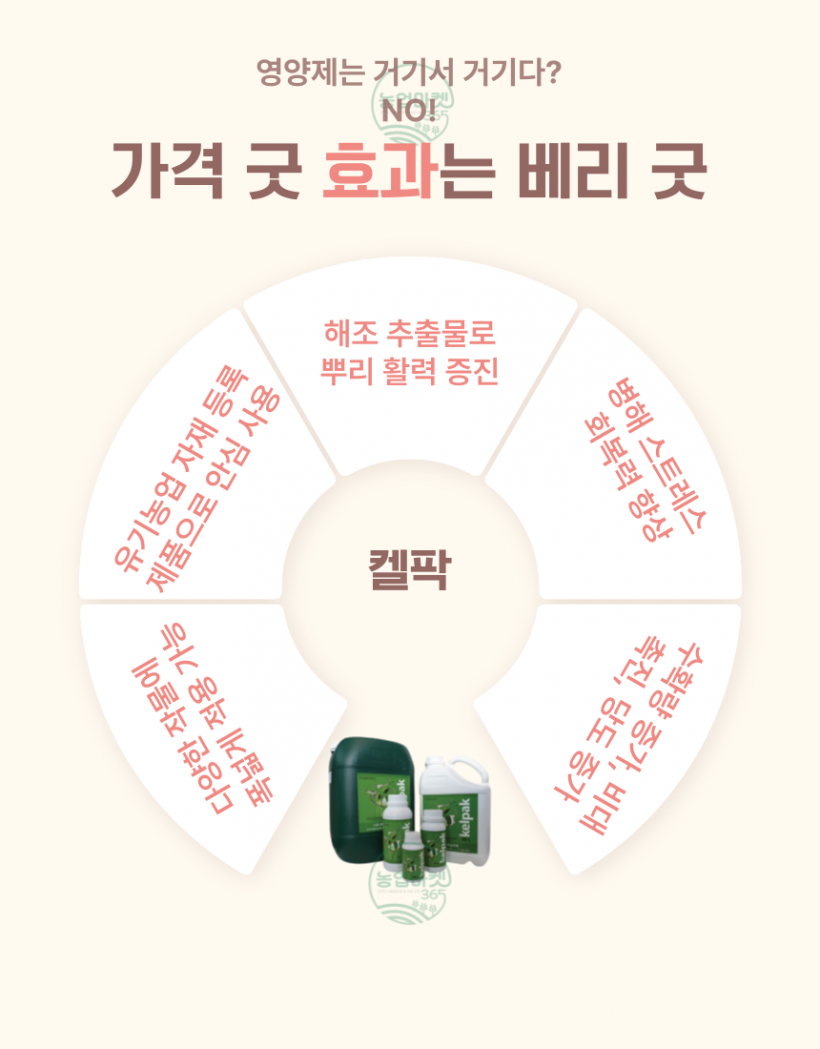 8b9b847a327637566d4394c844021258_1743289714_794.png