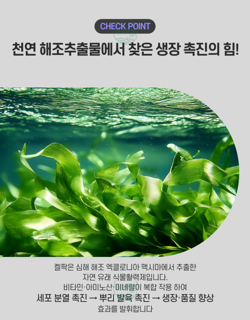8b9b847a327637566d4394c844021258_1743289720_3223.png