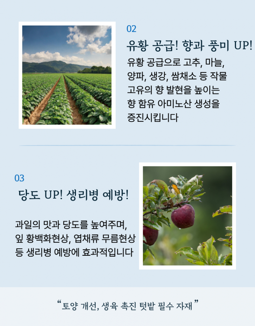 d7648e03188bb7811f4e8efa7b8da397_1742201515_9078.png
