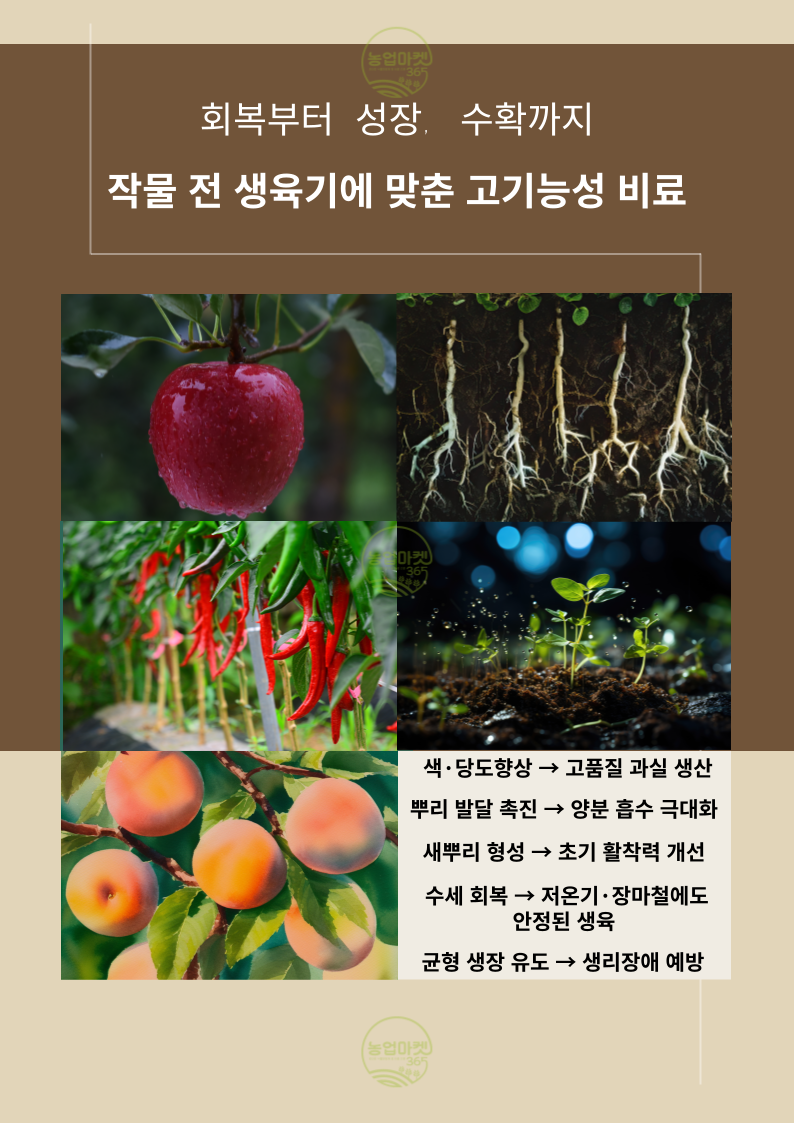 c44a9df12023422ffcdc00abef518ff5_1743560973_9873.png