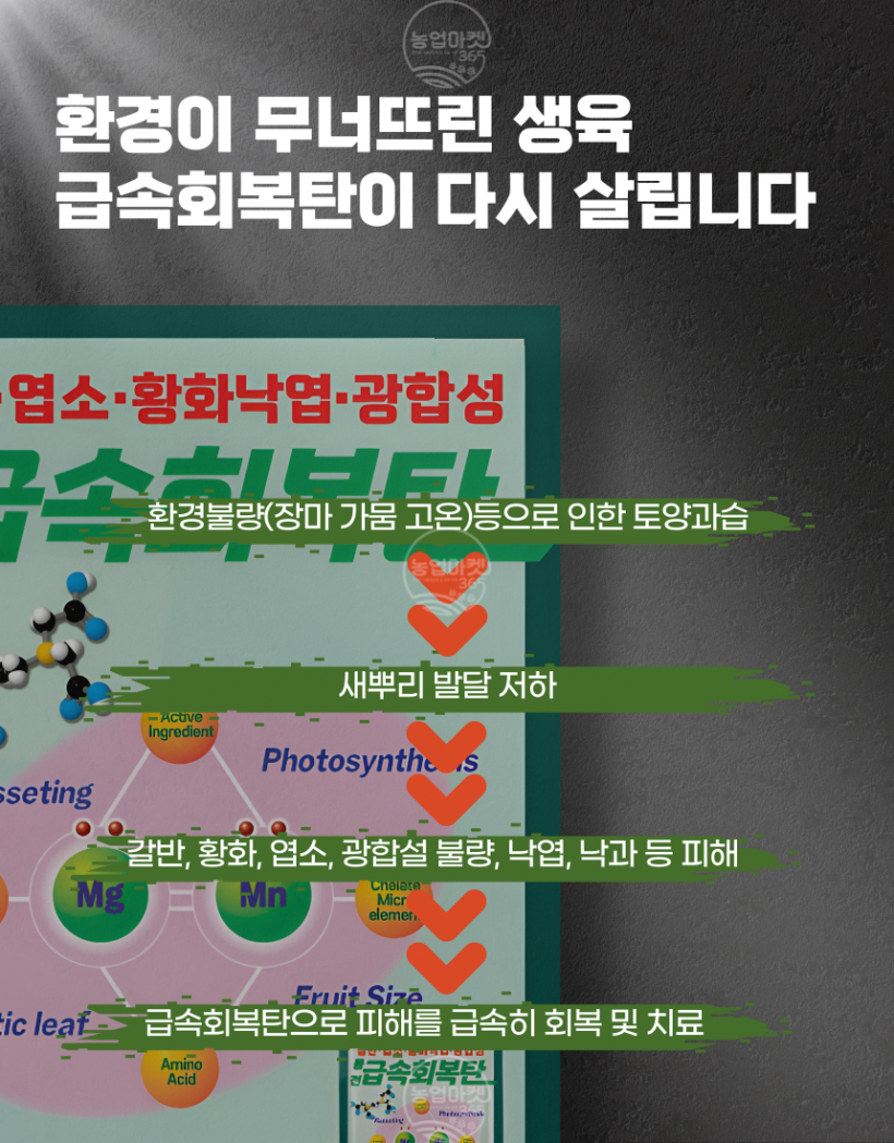 10e8ac8301120668e0a79759530b321e_1749704939_9996.png