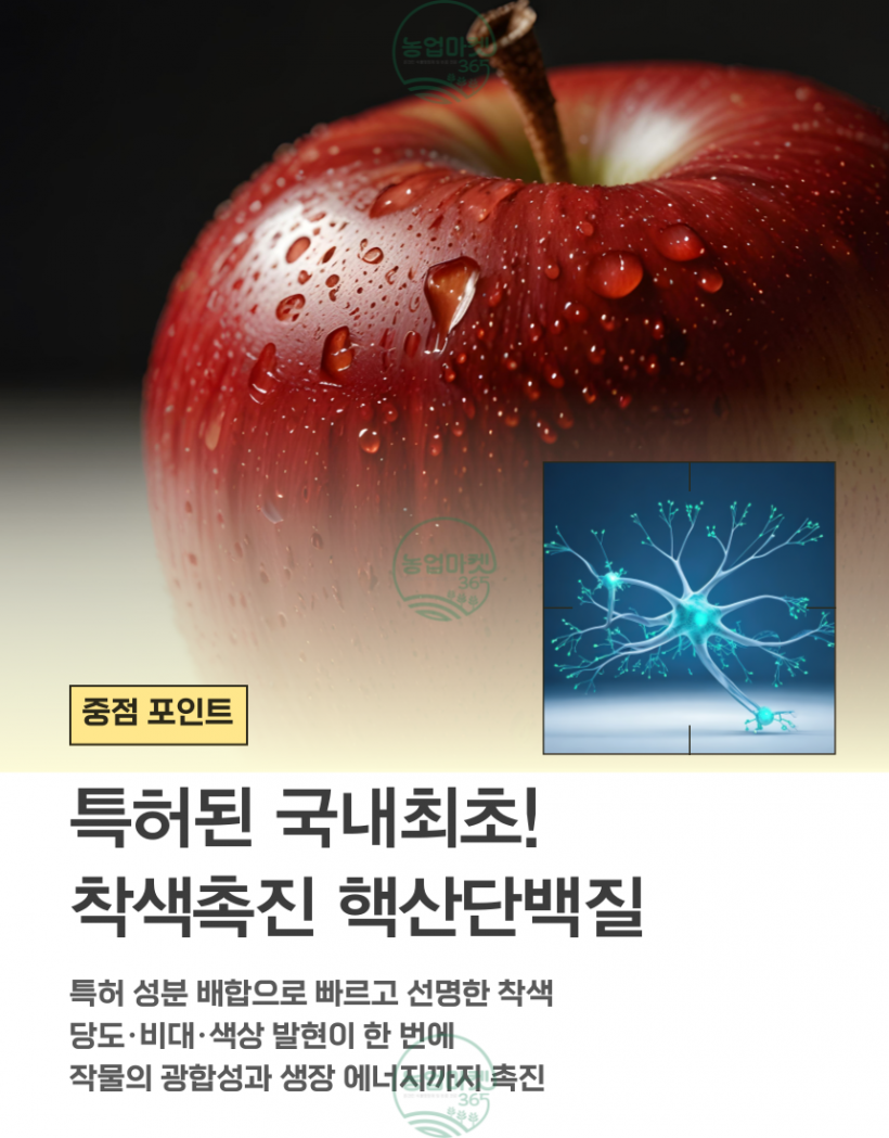 a9d069d93c5c085a2114eaade00e12a3_1750147977_3549.png