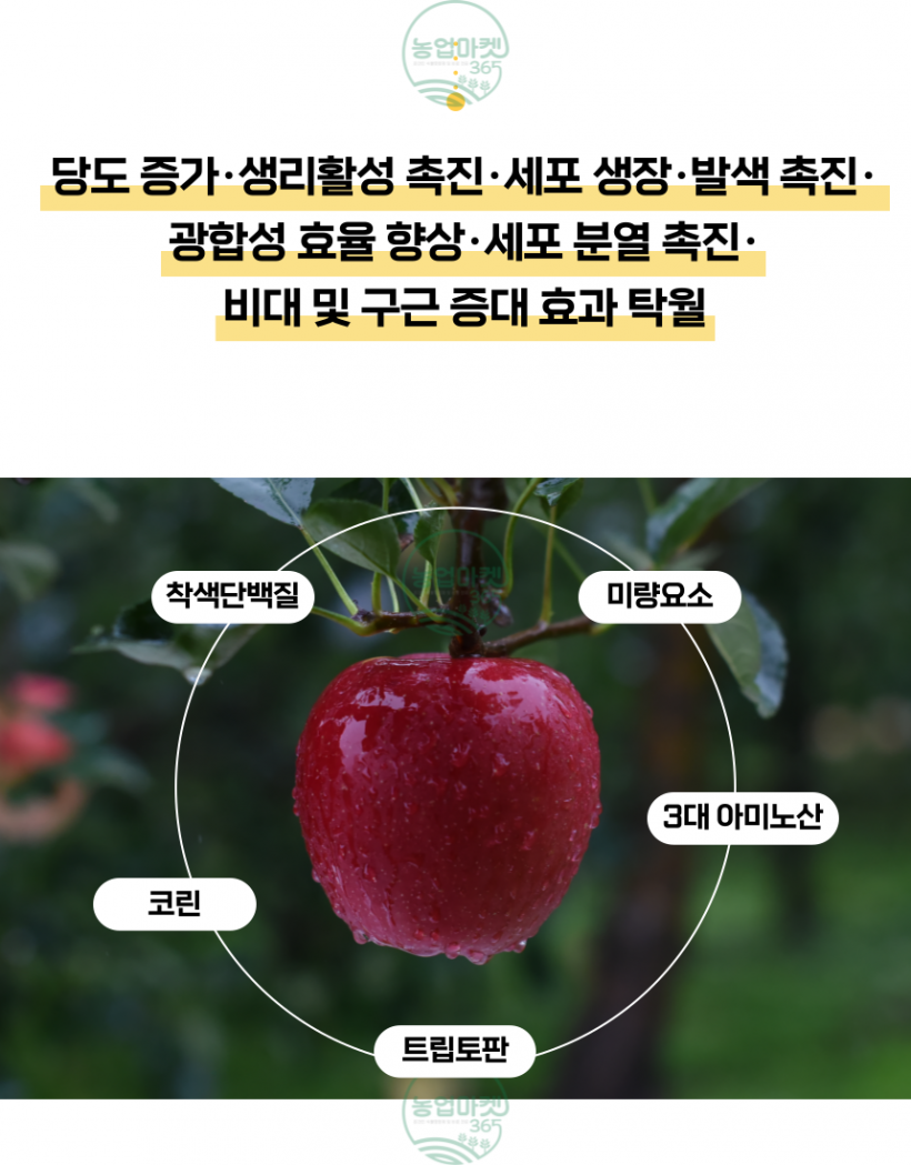 a9d069d93c5c085a2114eaade00e12a3_1750147977_5494.png