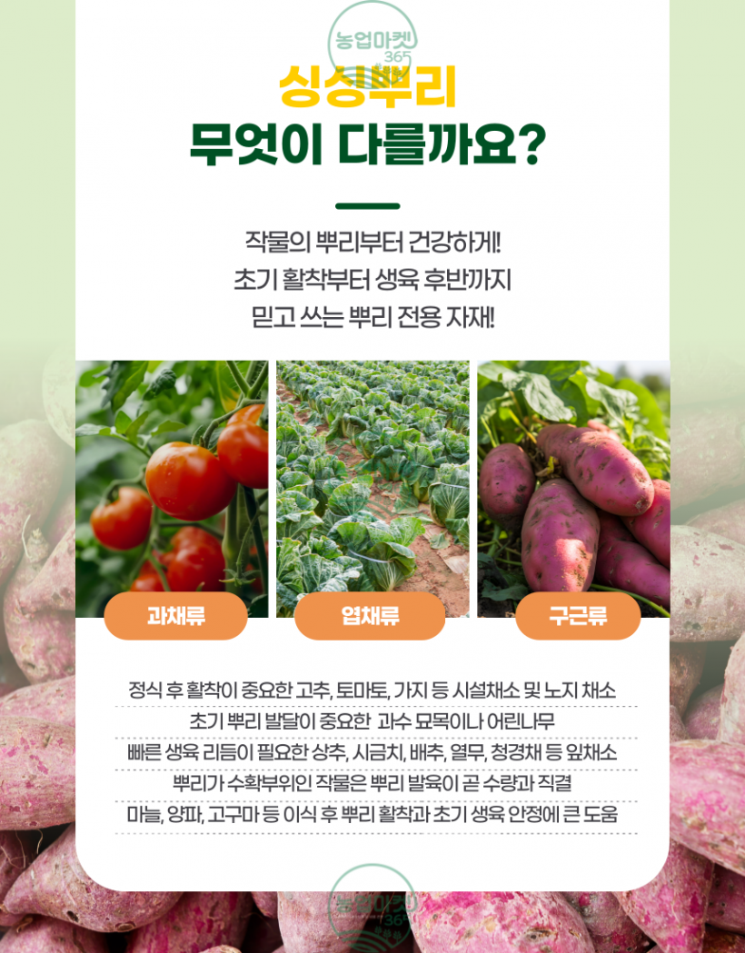 aecd21eb641572b95ab784836f5164bd_1750307790_41.png