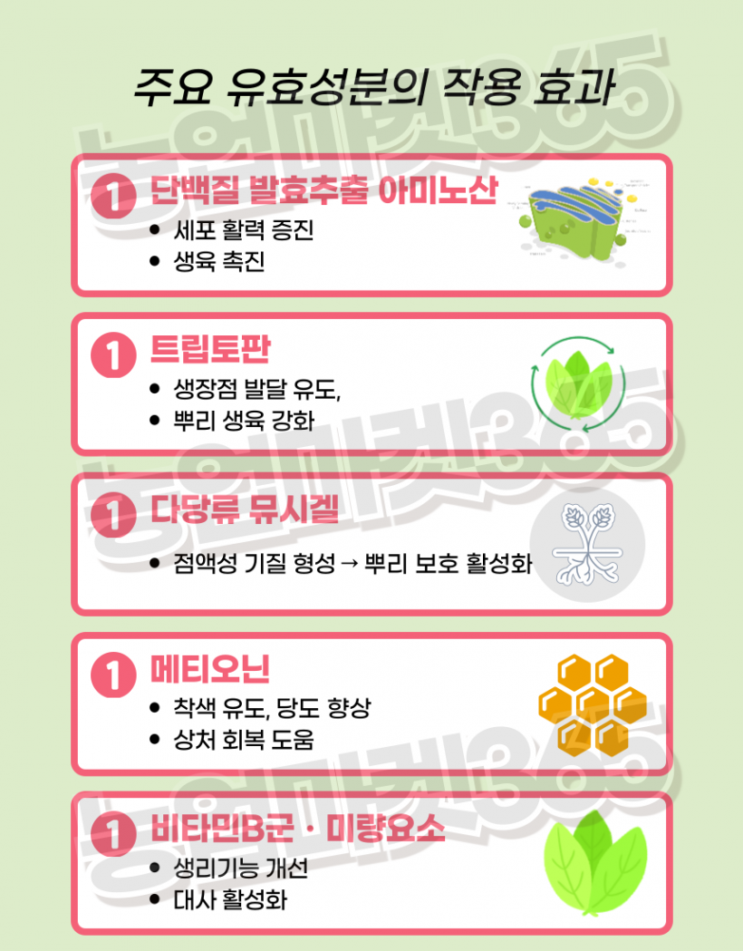 0f5b5c5ad8abf5a1030c50f5b70f463f_1751601662_5659.png