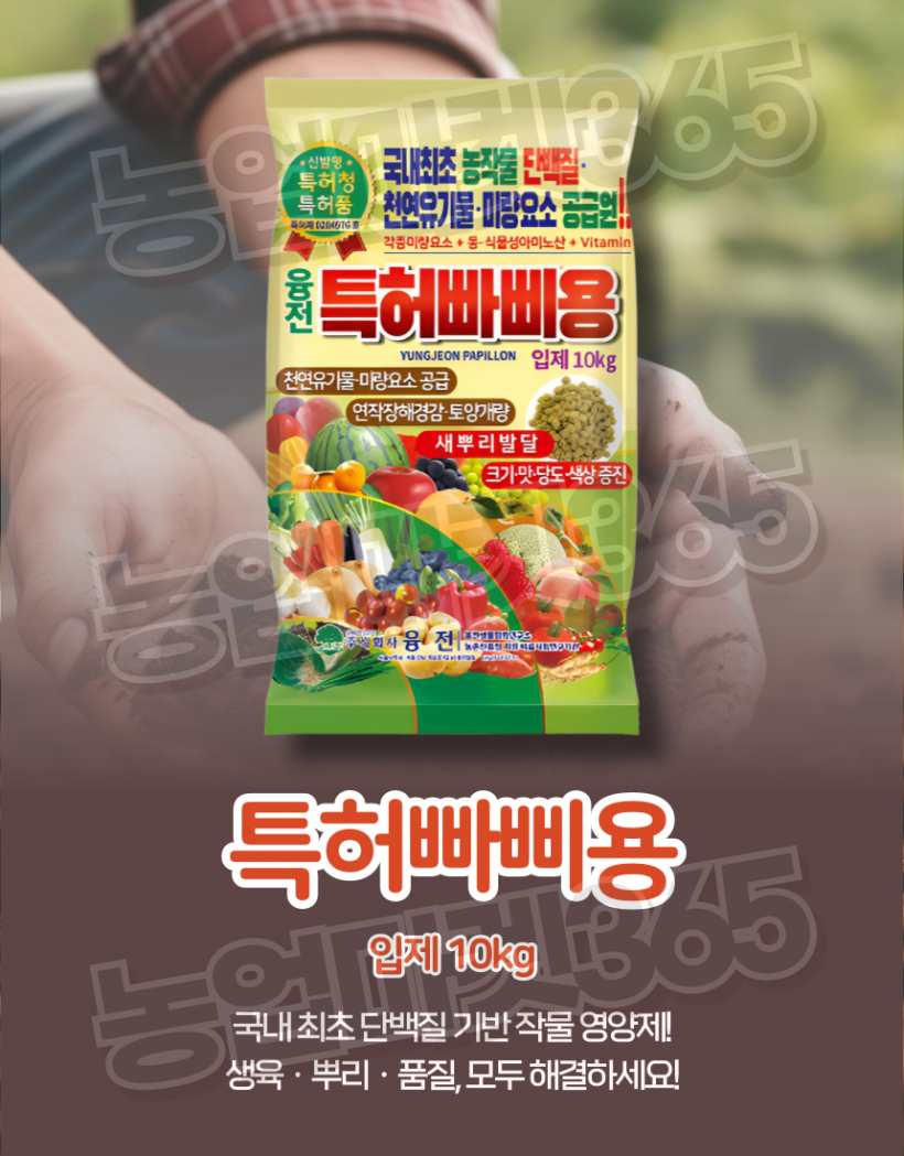 edae17d9a655415a9af779535a6a14ac_1751614545_7137.png