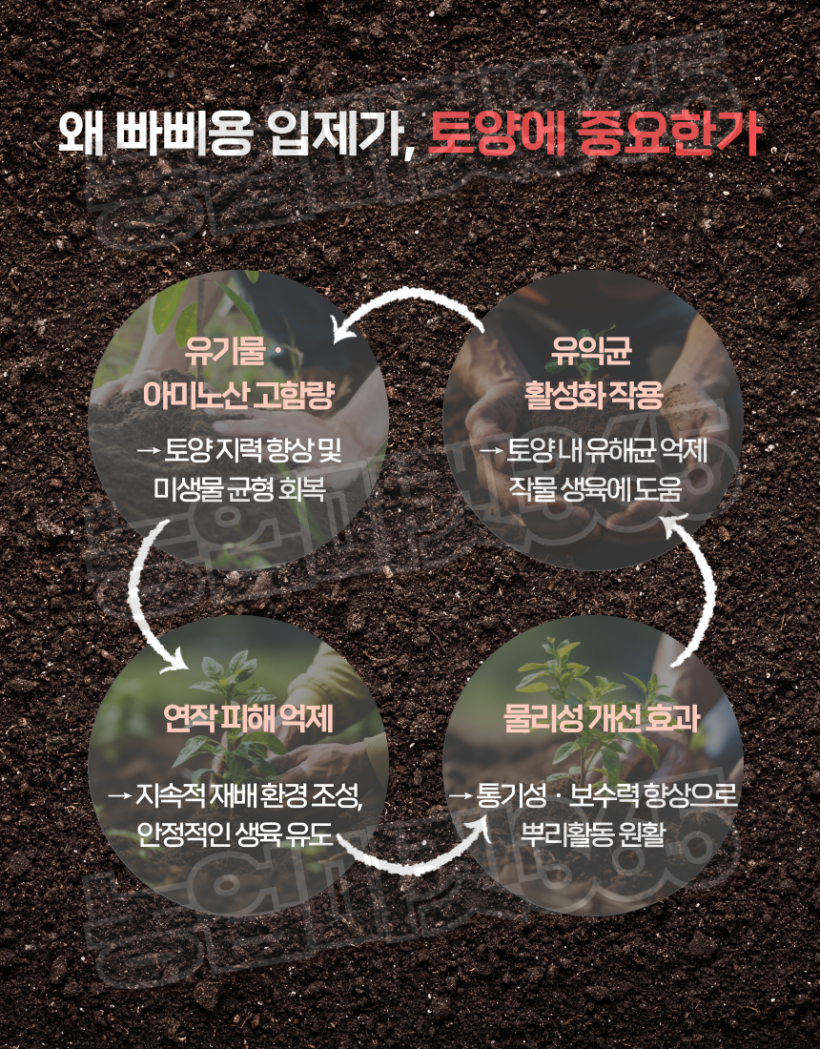 edae17d9a655415a9af779535a6a14ac_1751614546_3108.png