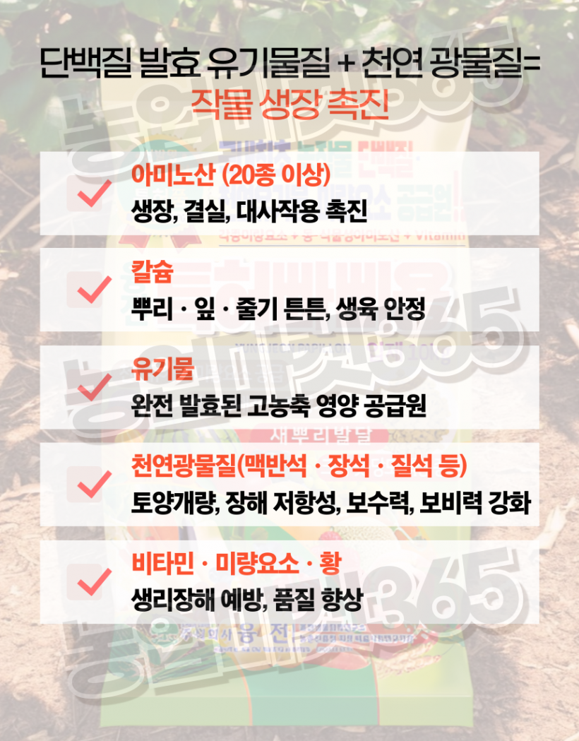 edae17d9a655415a9af779535a6a14ac_1751614546_4625.png