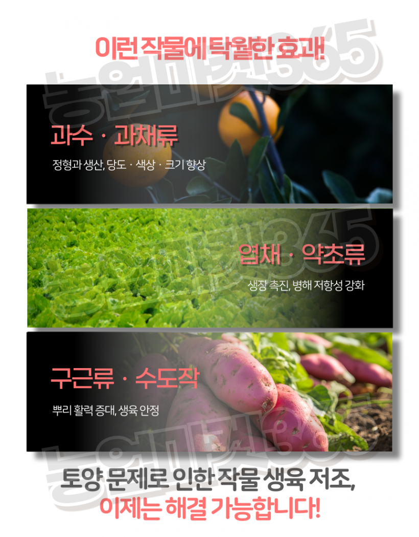 edae17d9a655415a9af779535a6a14ac_1751614546_6161.png