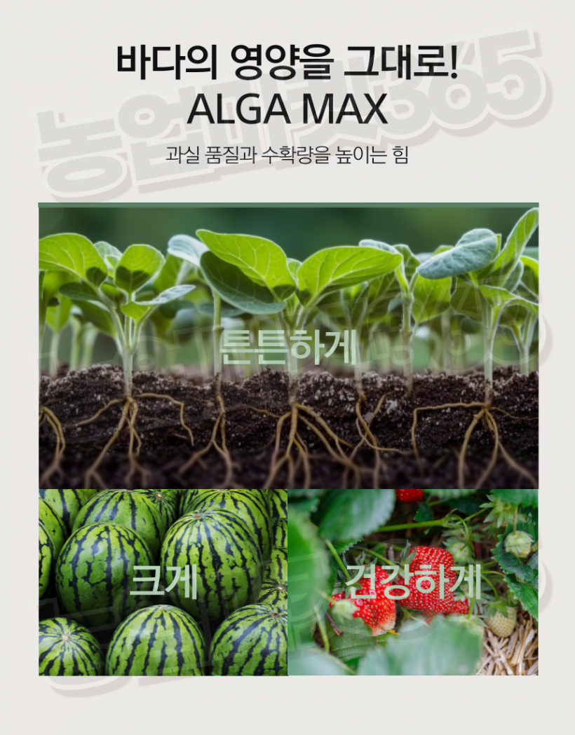 58a32d8afca80ce5f9bfb1616b7a730f_1755755655_0565.png