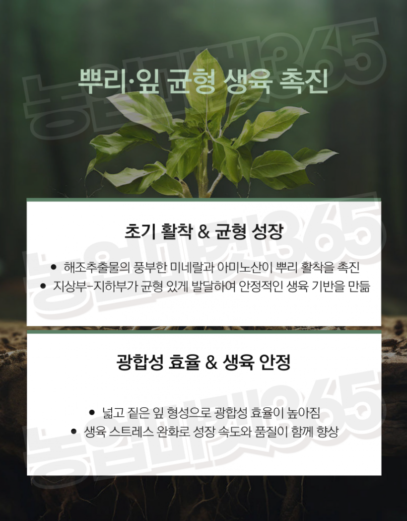 58a32d8afca80ce5f9bfb1616b7a730f_1755755655_3103.png