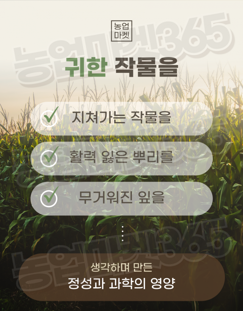 58a32d8afca80ce5f9bfb1616b7a730f_1755755761_6185.png