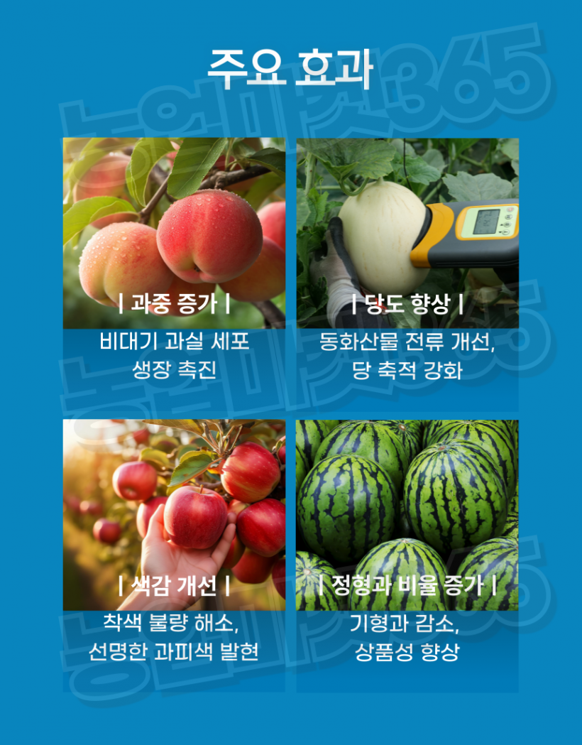 a98288f8ee2a4dd74def570538b2d99b_1755836611_1426.png