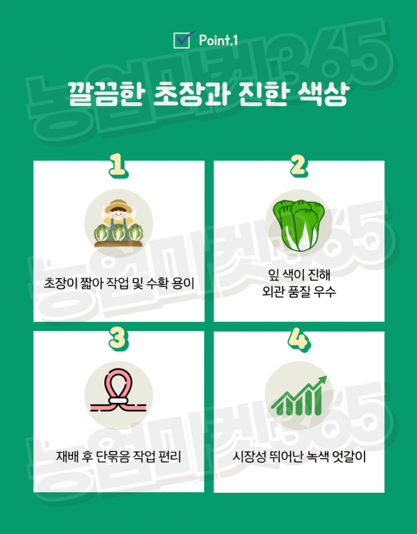 c3ebef0be921374acd2d0a9e6e3a551b_1756446292_0143.png