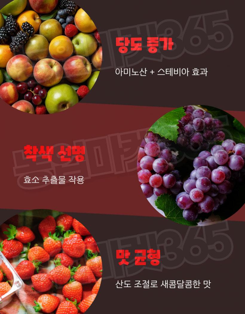 cc5aec4df943be5c697e7adfdeb64519_1754902024_8626.png