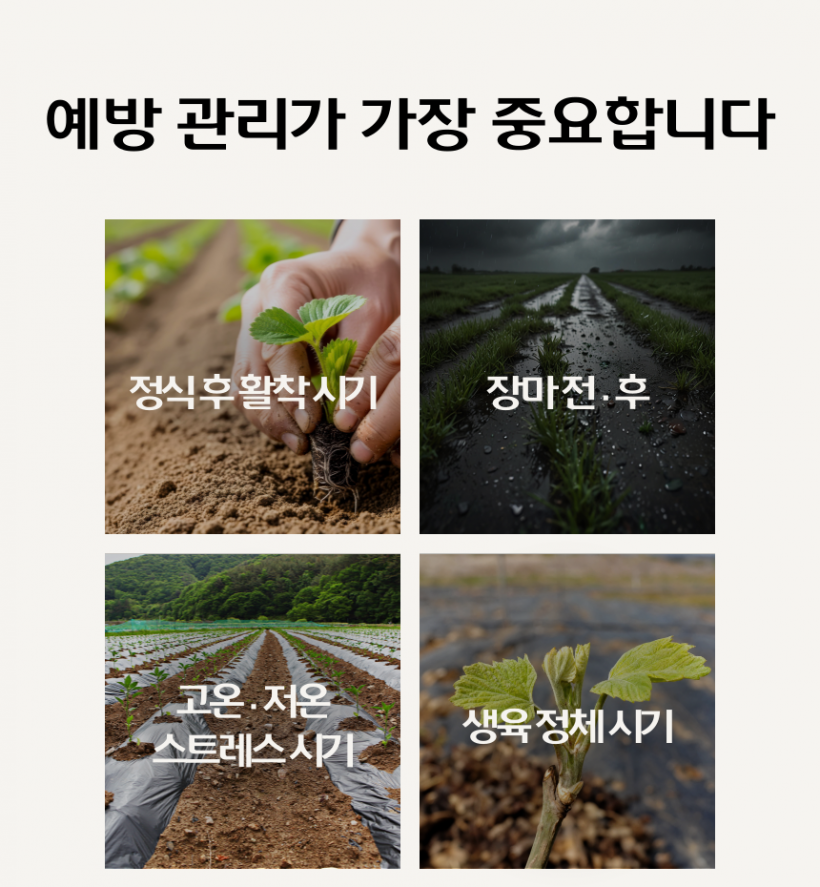 28fbbd170b8ff3c565d9e52ce471a0da_1779777448_8295.png