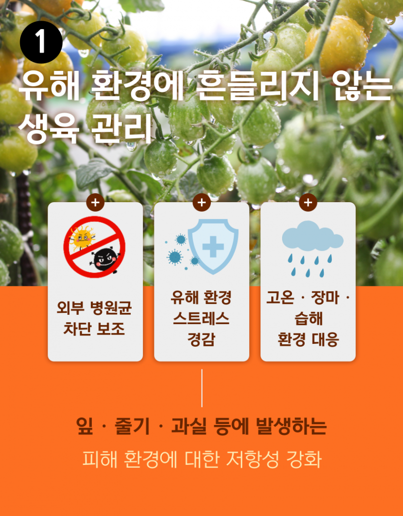 3ab0bd0dcb318c006391c9f3a1606d4e_1779170374_516.png