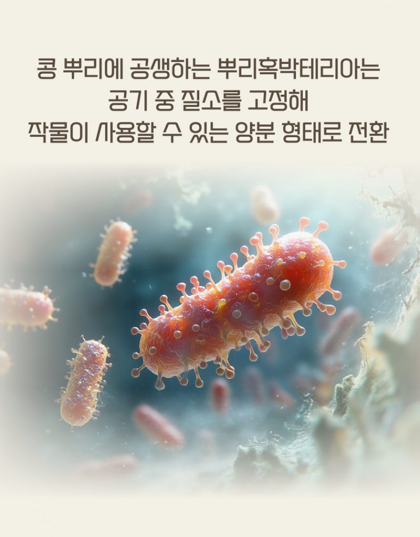 4af96d41328878b4fc97721098357f52_1779876841_5825.png