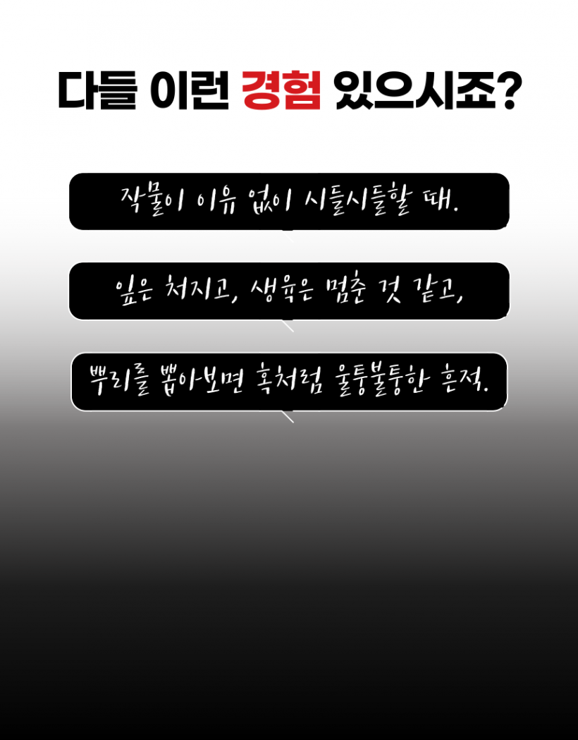 8d7098b646eacca0c76a2c7ea70f541e_1780035388_1164.png