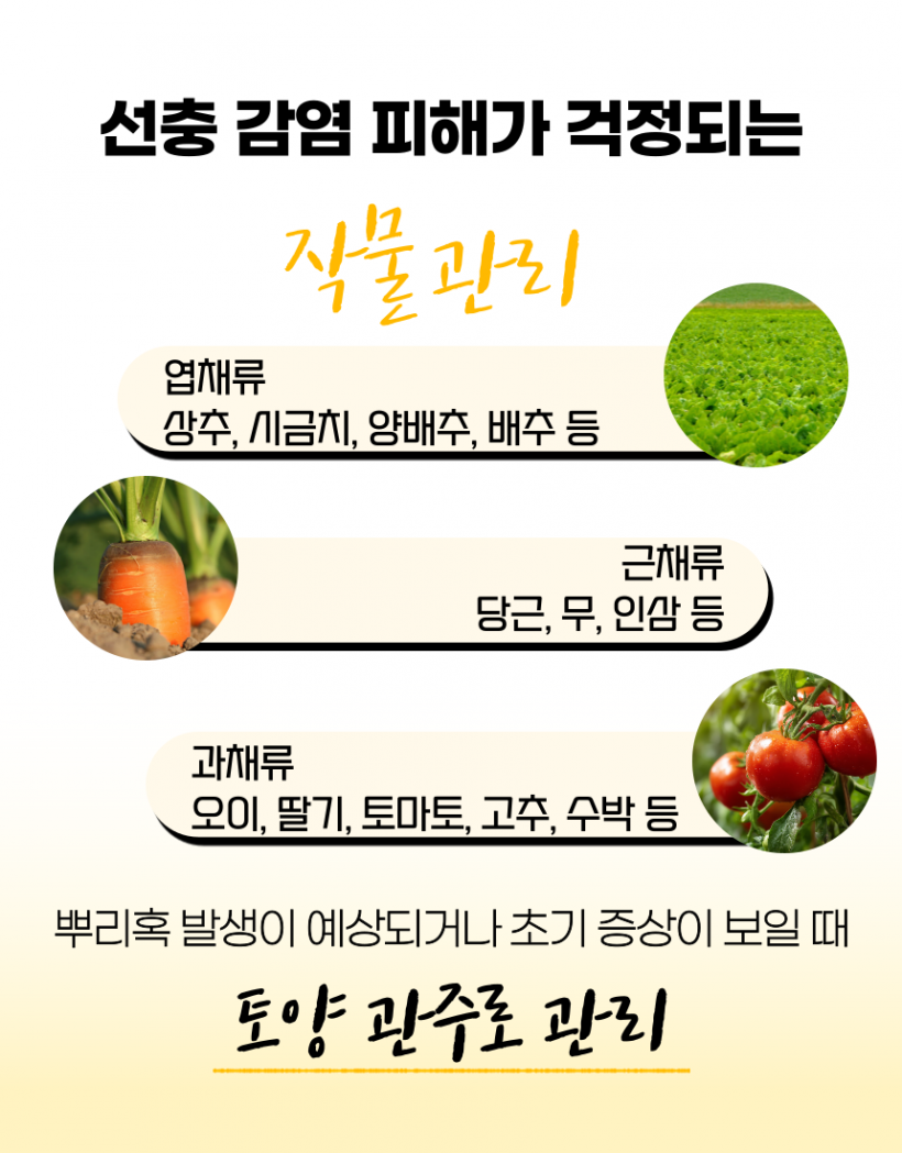 8d7098b646eacca0c76a2c7ea70f541e_1780035392_1132.png