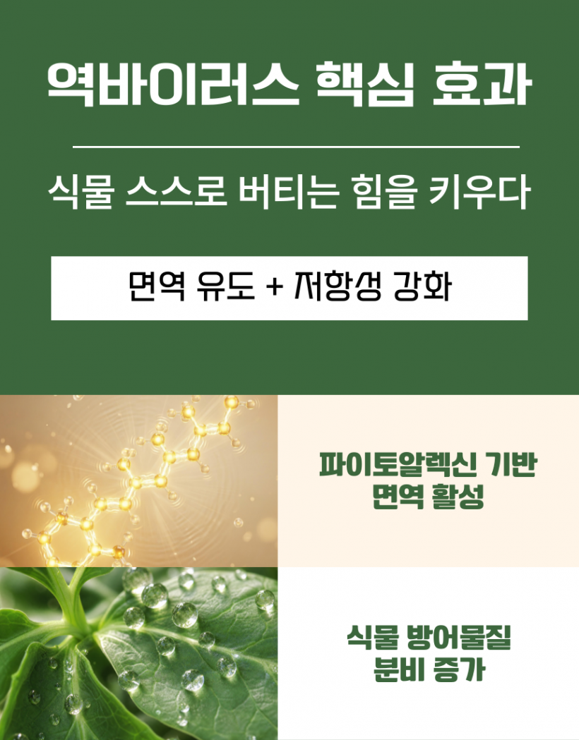 ca2716542eebb1599d25ec05f98cfc59_1779342315_139.png