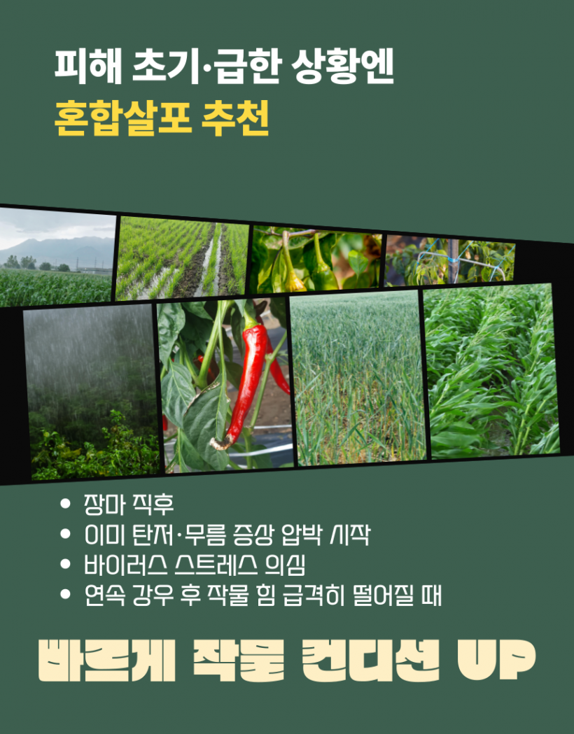 ca2716542eebb1599d25ec05f98cfc59_1779342321_5704.png