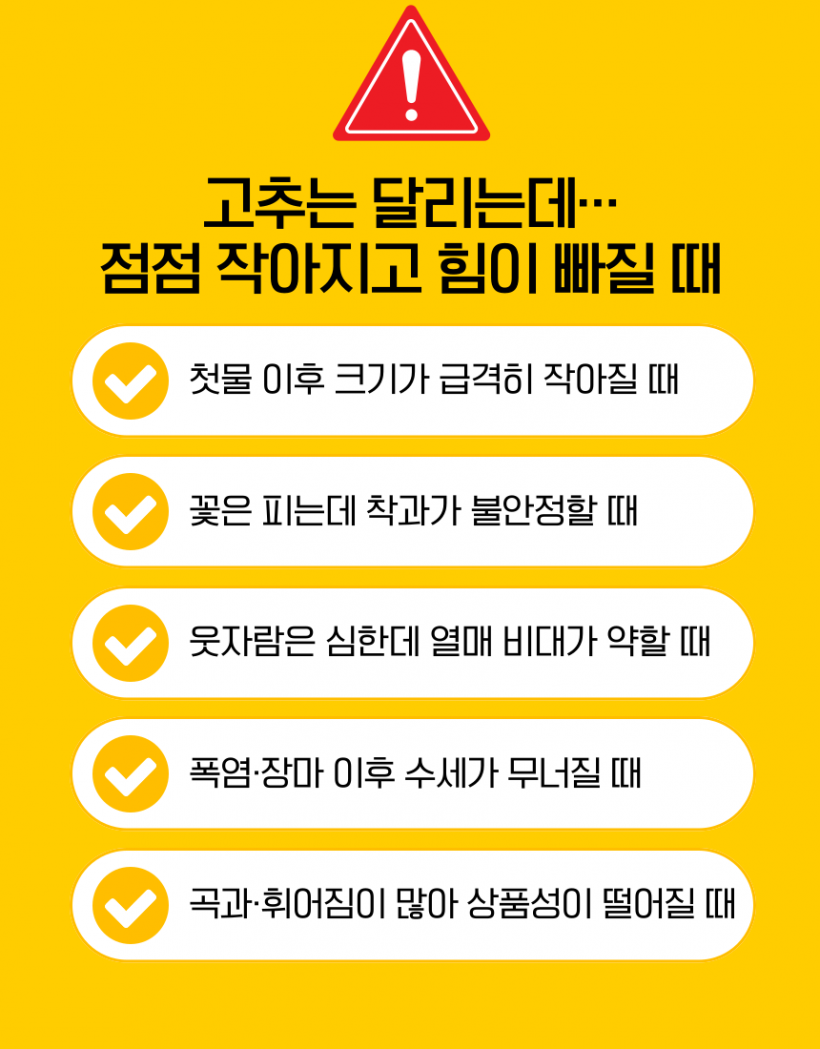 ca2716542eebb1599d25ec05f98cfc59_1779342371_4371.png
