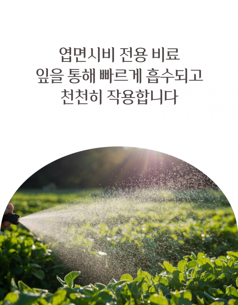 fcf784a25e2f22104efba44c8cd0049c_1779853882_4716.png