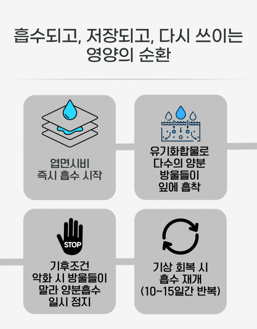 fcf784a25e2f22104efba44c8cd0049c_1779853882_9569.png