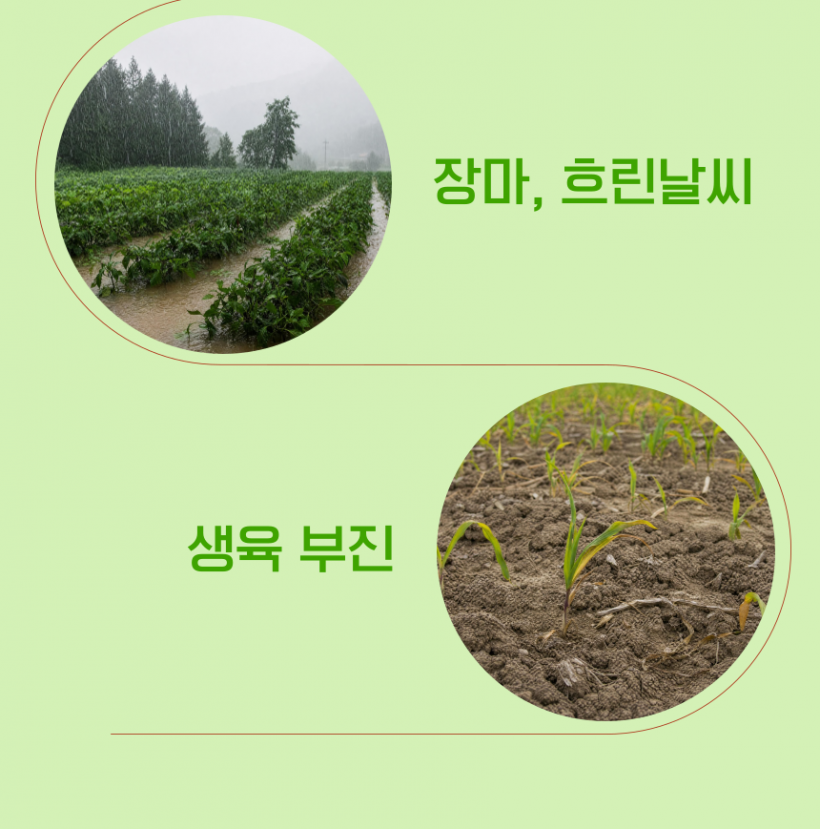37a6f1c5795fa884ac5719adc31e6773_1782436840_0845.png
