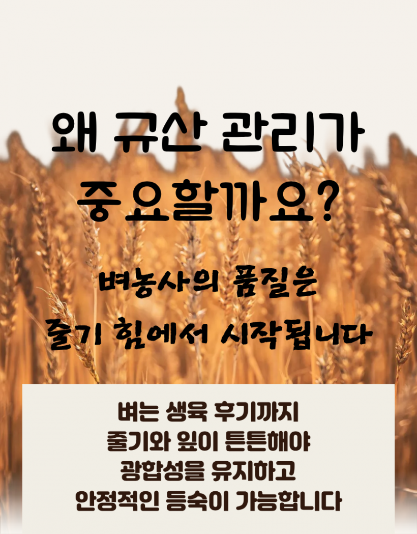 b8396be96d041ae7de185c3d31b7418f_1780991606_7222.png