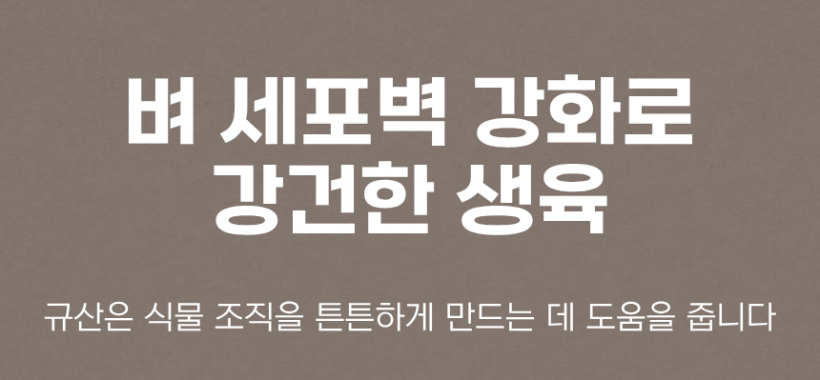 b8396be96d041ae7de185c3d31b7418f_1780991607_0655.png