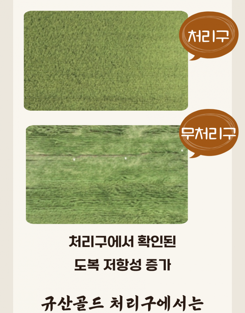b8396be96d041ae7de185c3d31b7418f_1780991611_7811.png