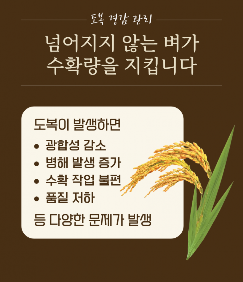 b8396be96d041ae7de185c3d31b7418f_1780991659_7617.png