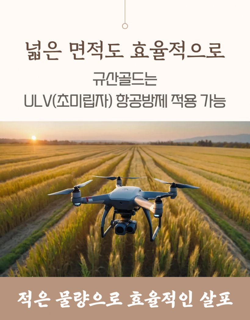 b8396be96d041ae7de185c3d31b7418f_1780991664_426.png