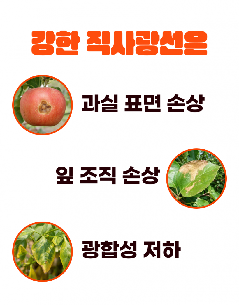 6aecb0b360b399a68622c3a752615b88_1784101067_3355.png
