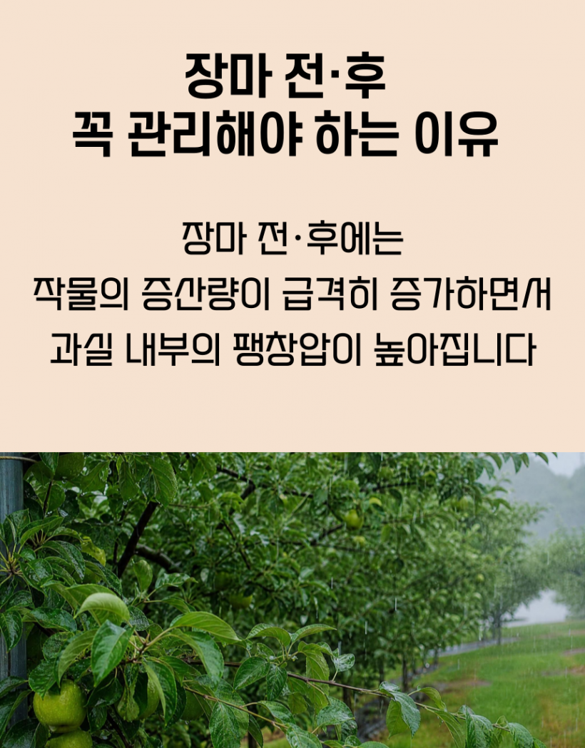 6aecb0b360b399a68622c3a752615b88_1784101072_3911.png