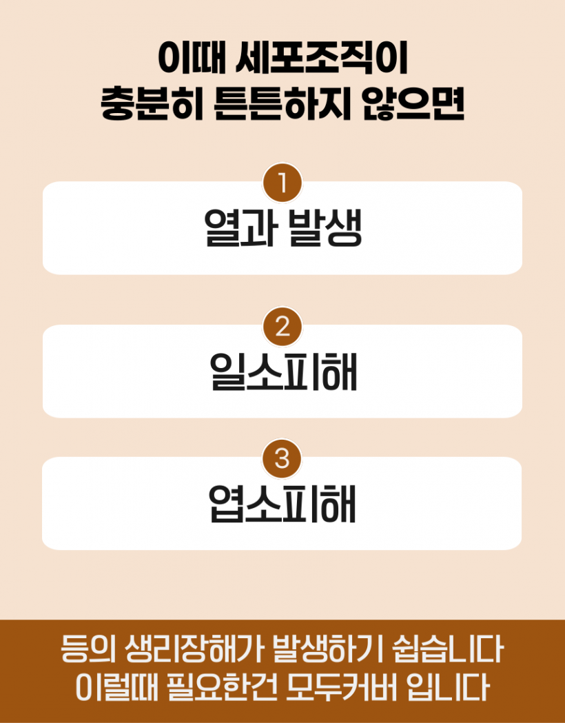 6aecb0b360b399a68622c3a752615b88_1784101072_4422.png
