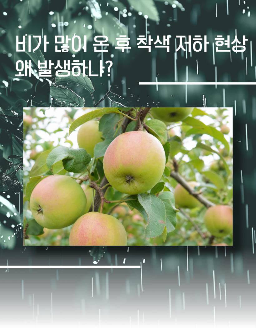dd755792e06b179226c507474c253c77_1784704680_7153.png