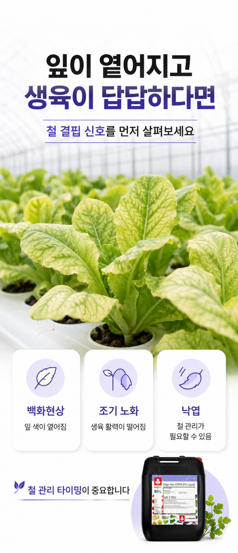 7a7d0e70970b6098842c053437cd74f2_1787218434_455.png