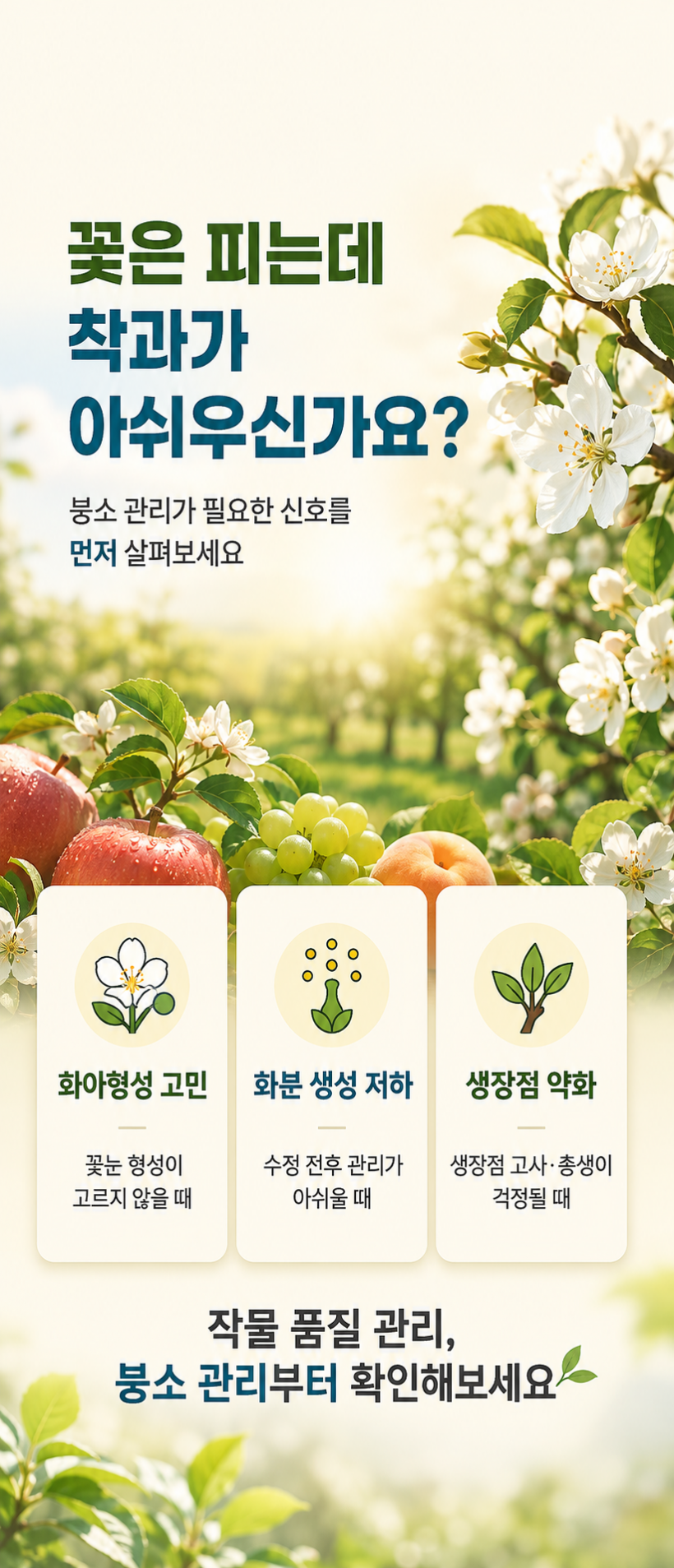 df1a96f9adf946e9fcaff64542e08146_1787113525_9958.png