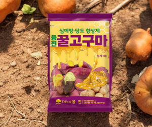 [융전] 꿀고구마 1kg 입제 [12,000원]