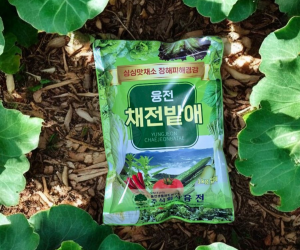 [융전] 채전밭애 1kg 입제 [7,000원]