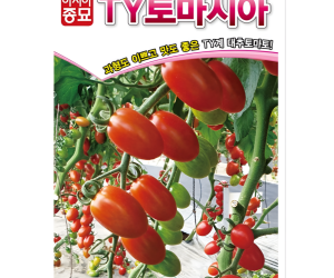[아시아종묘] 대추방울토마토-TY토마시아 20립 [7,000원]