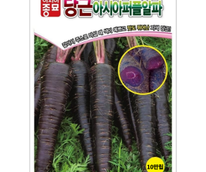 [아시아종묘] 당근 아시아퍼플알파 500립 [4,000원]