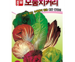 [아시아종묘] 치커리-모둠치커리 1500립 [3,000원]