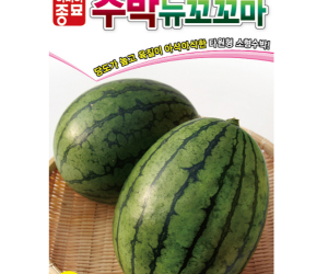 [아시아종묘] 수박-뉴꼬꼬마 10립 [4,000원]