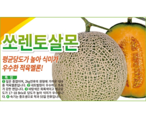 [아시아종묘] 메론 쏘렌토살몬 10립 [5,000원]