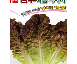 [아시아종묘] 상추 아시아여름적치마 3,000립 [3,000원]
