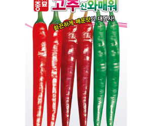 [아시아종묘] 고추 신와매워 30립 [3,000원]